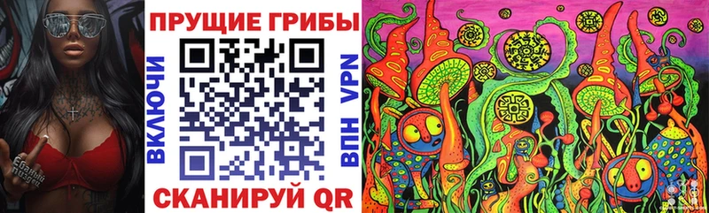 Галлюциногенные грибы ЛСД  Купить  Моршанск 