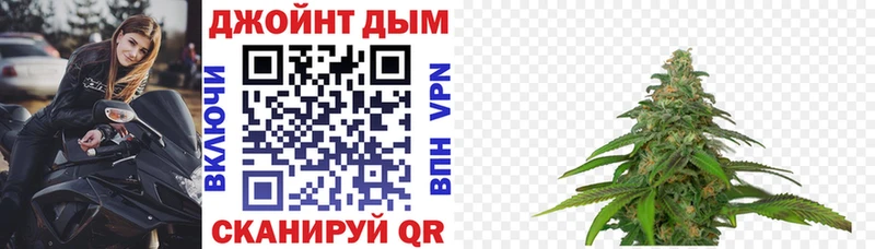 Бошки марихуана AK-47  Купить где  Моршанск 